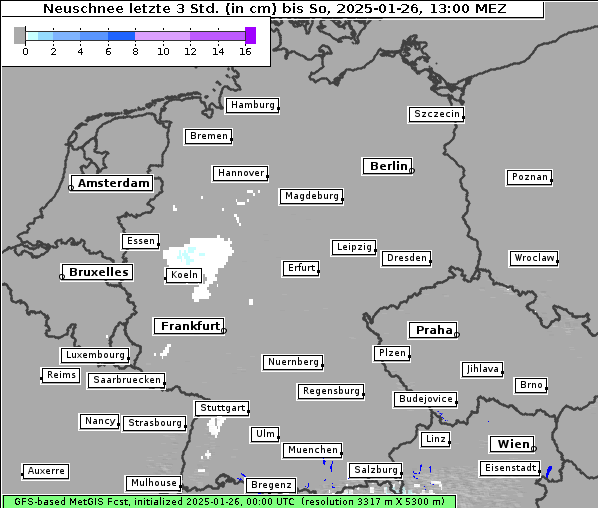 Neuschnee, 26. 1. 2025