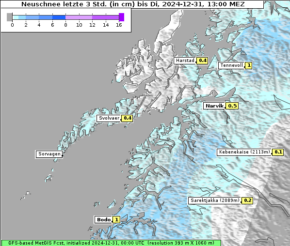 Neuschnee, 31. 12. 2024