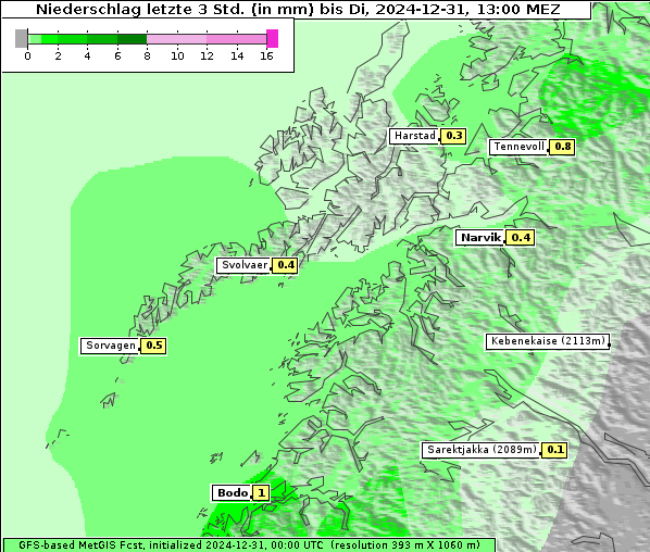 Niederschlag, 31. 12. 2024