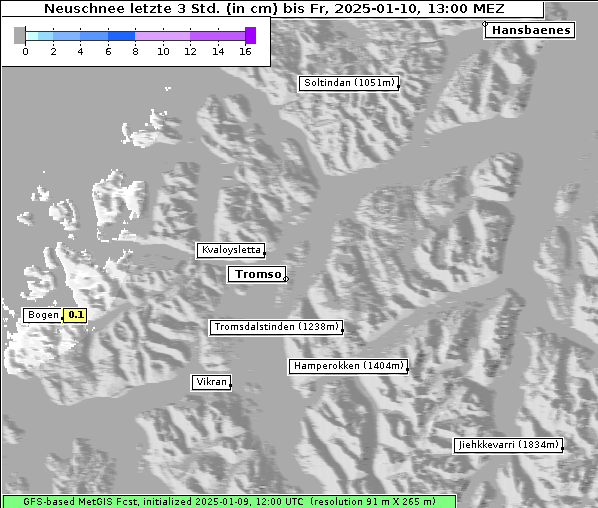 Neuschnee, 10. 1. 2025