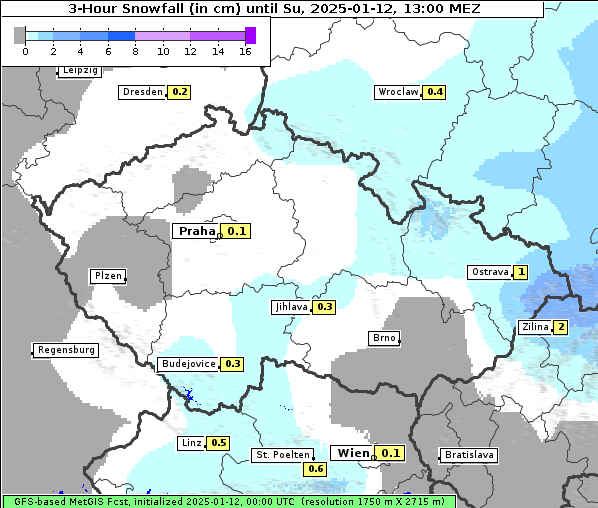 Neuschnee, 12. 1. 2025