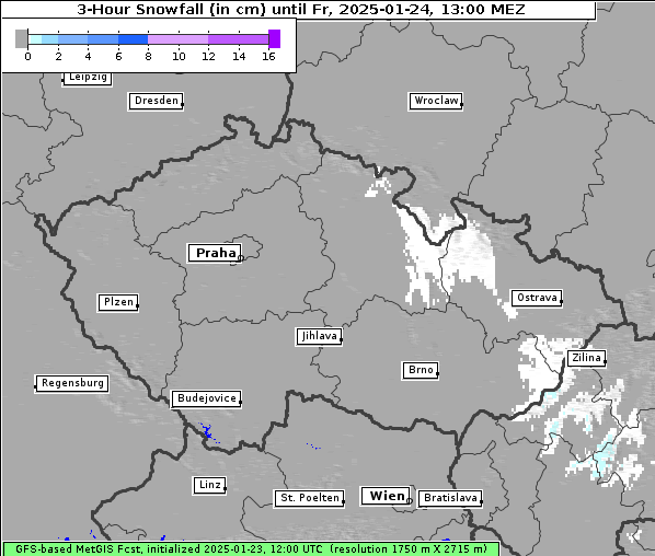 Neuschnee, 24. 1. 2025