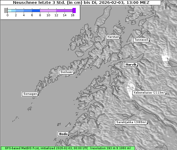 Neuschnee, 3. 2. 2026