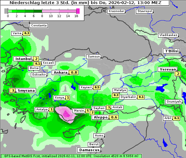 Niederschlag, 12. 2. 2026