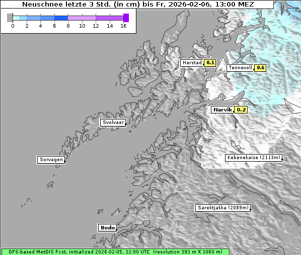 Neuschnee, 6. 2. 2026