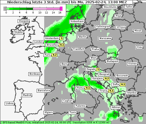 Niederschlag, 24. 2. 2025