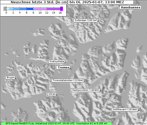 Neuschnee, 7. 1. 2025