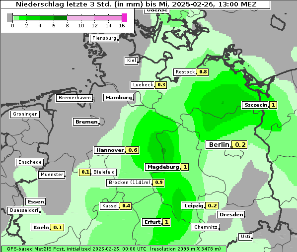 Niederschlag, 26. 2. 2025