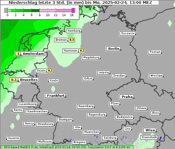 Niederschlag, 24. 2. 2025