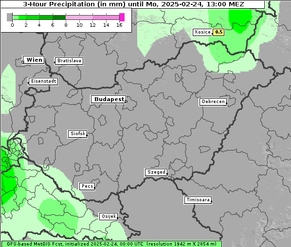 Niederschlag, 24. 2. 2025