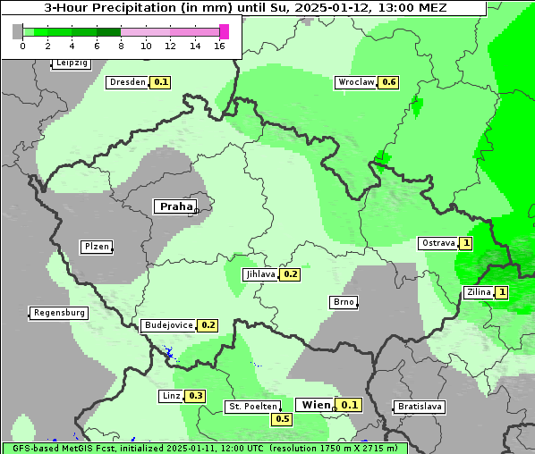 Niederschlag, 12. 1. 2025