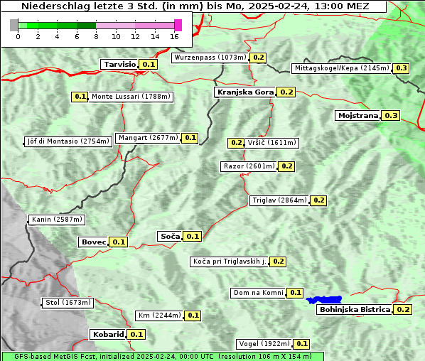 Niederschlag, 24. 2. 2025
