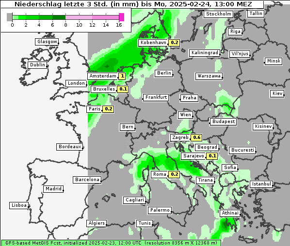Niederschlag, 24. 2. 2025