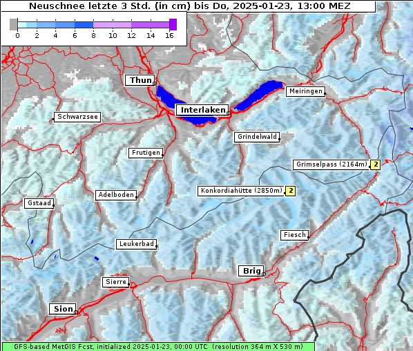 Neuschnee, 23. 1. 2025