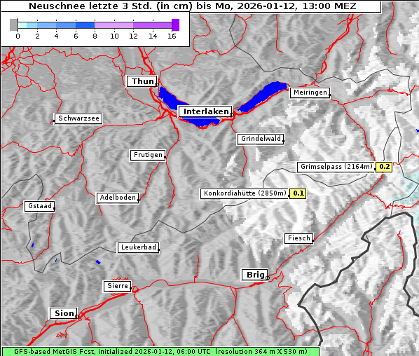 Neuschnee, 12. 1. 2026