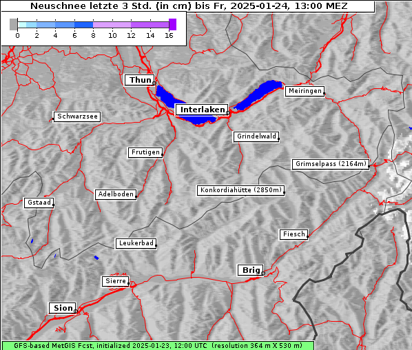 Neuschnee, 24. 1. 2025