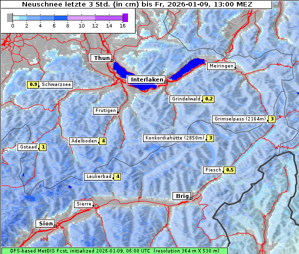 Neuschnee, 9. 1. 2026