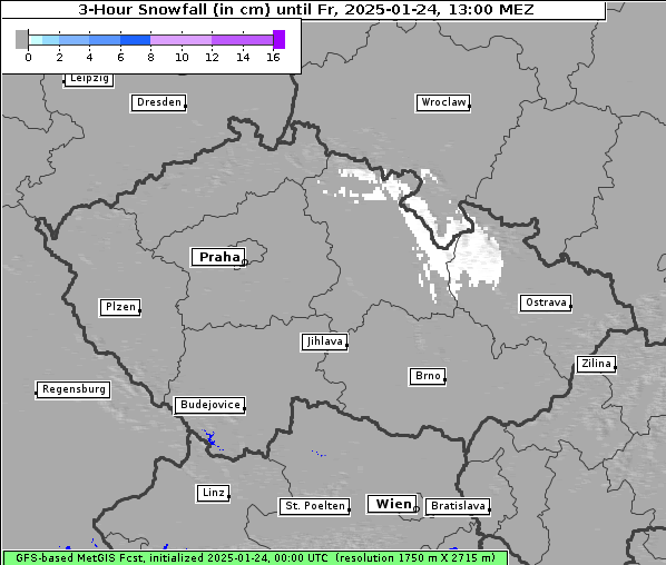 Neuschnee, 24. 1. 2025