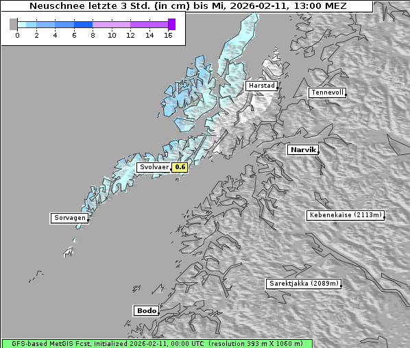 Neuschnee, 11. 2. 2026