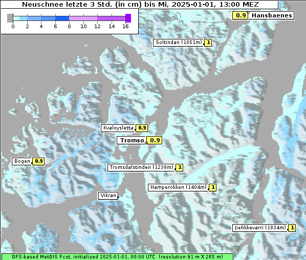 Neuschnee, 1. 1. 2025