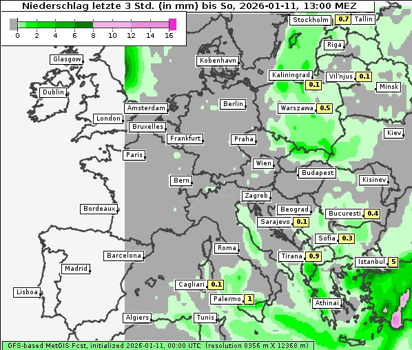 Niederschlag, 11. 1. 2026