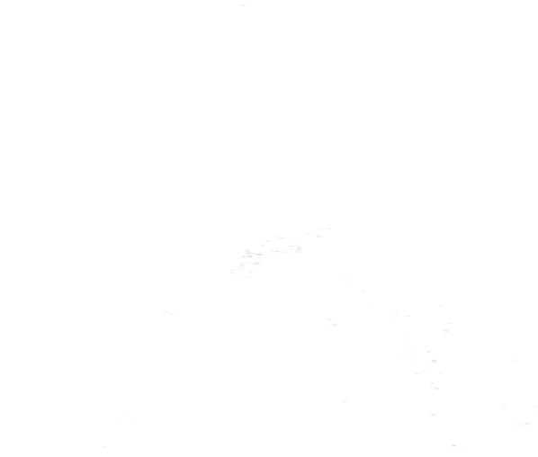 Niederschlag, 24. 2. 2026