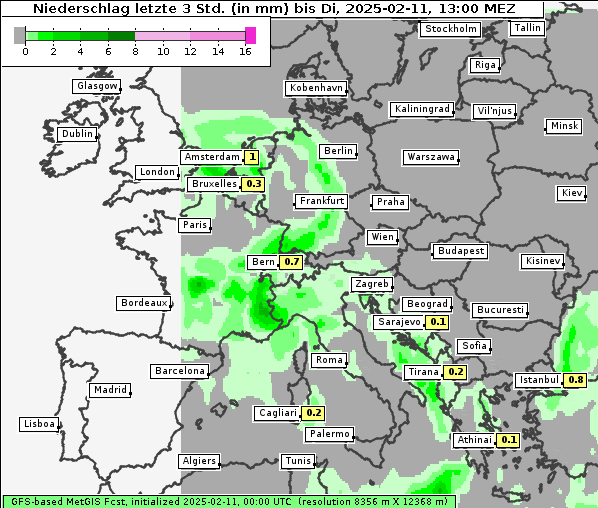 Niederschlag, 11. 2. 2025