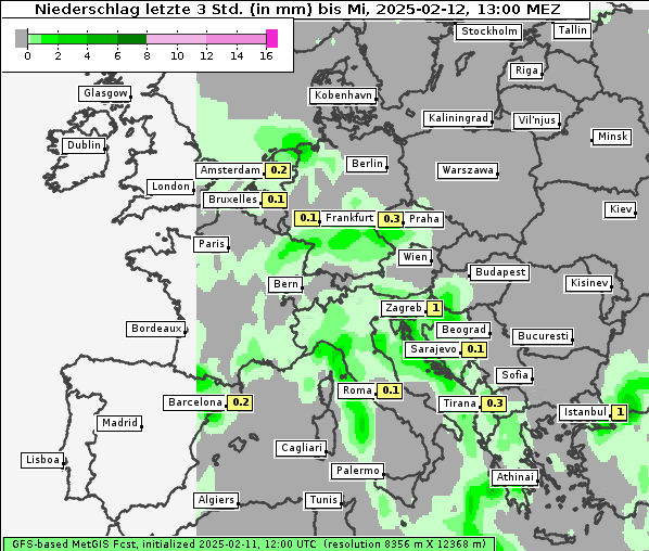 Niederschlag, 12. 2. 2025