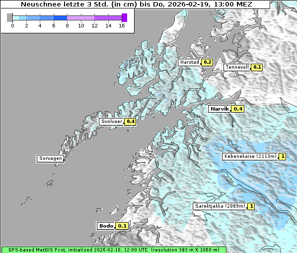 Neuschnee, 19. 2. 2026