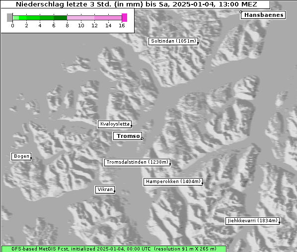 Niederschlag, 4. 1. 2025