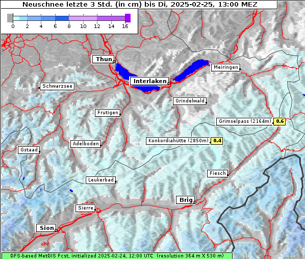 Neuschnee, 25. 2. 2025