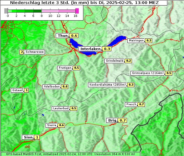 Niederschlag, 25. 2. 2025