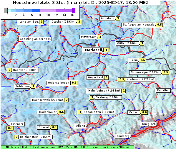 Neuschnee, 17. 2. 2026