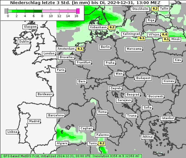 Niederschlag, 31. 12. 2024