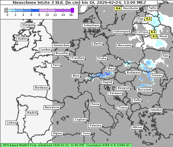 Neuschnee, 24. 2. 2026