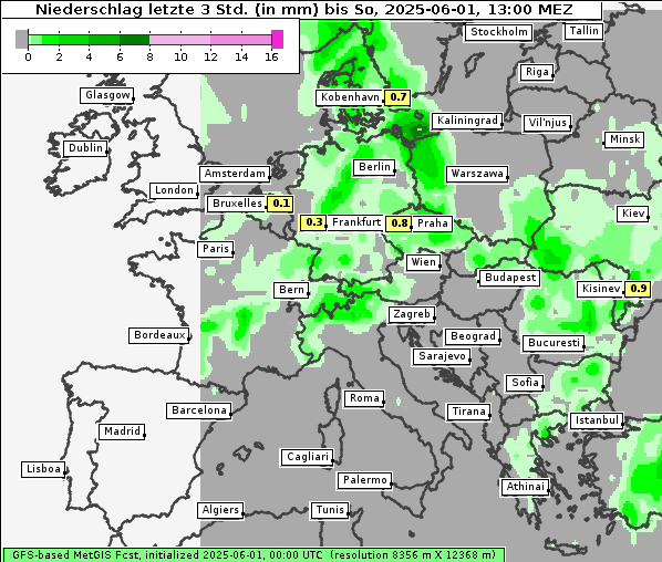 Niederschlag, 1. 6. 2025