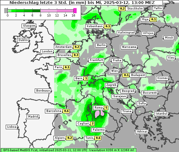 Niederschlag, 12. 3. 2025
