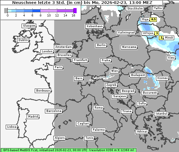 Neuschnee, 23. 2. 2026