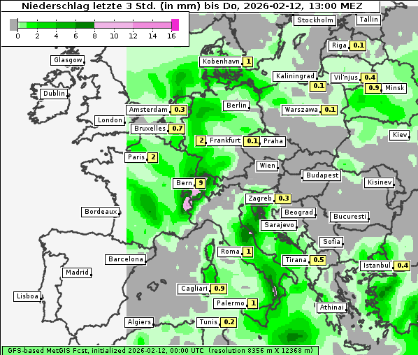 Niederschlag, 12. 2. 2026