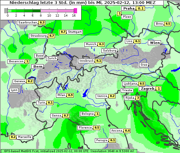 Niederschlag, 12. 2. 2025