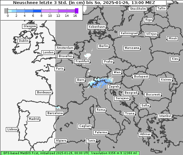 Neuschnee, 26. 1. 2025