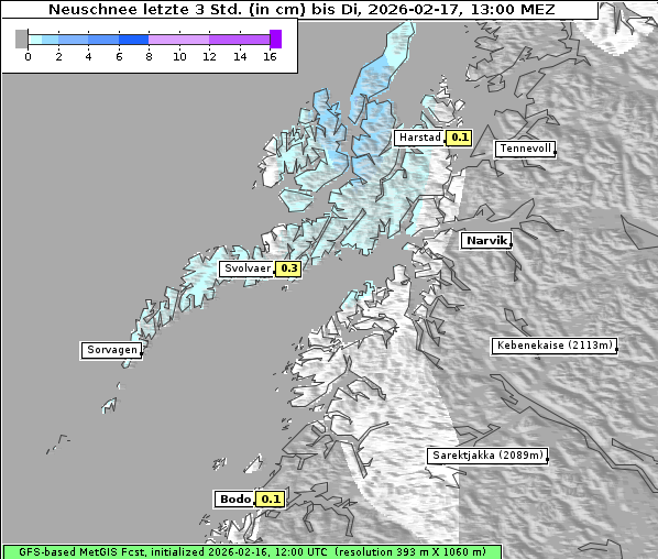 Neuschnee, 17. 2. 2026