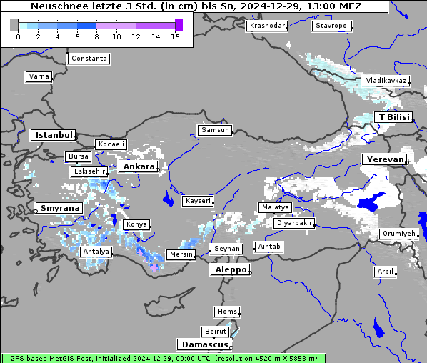 Neuschnee, 29. 12. 2024