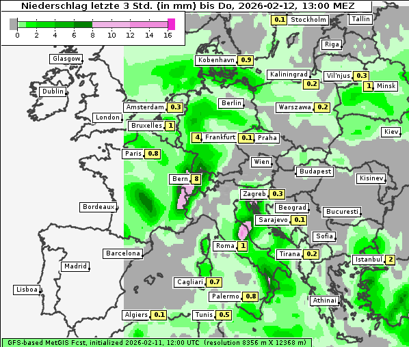 Niederschlag, 12. 2. 2026