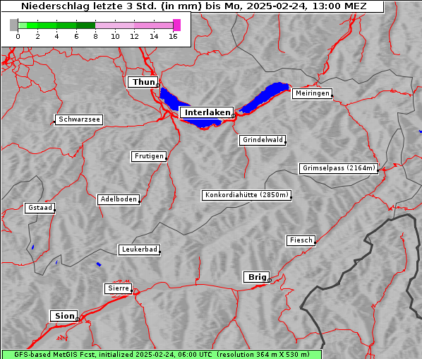 Niederschlag, 24. 2. 2025