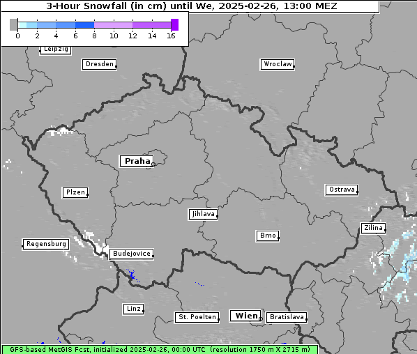 Neuschnee, 26. 2. 2025