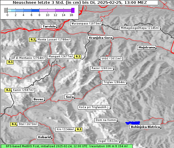 Neuschnee, 25. 2. 2025