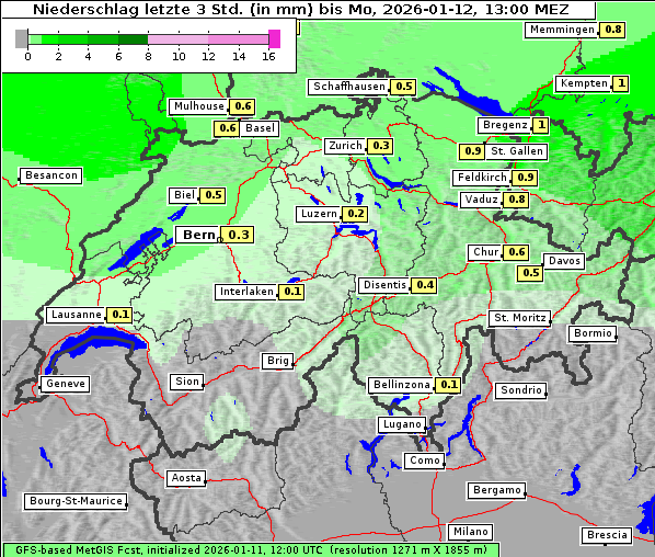 Niederschlag, 12. 1. 2026