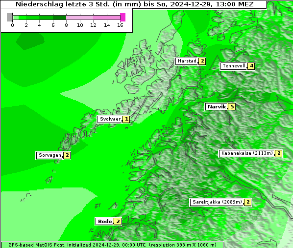 Niederschlag, 29. 12. 2024