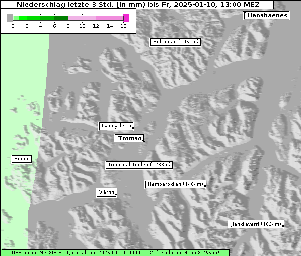 Niederschlag, 10. 1. 2025